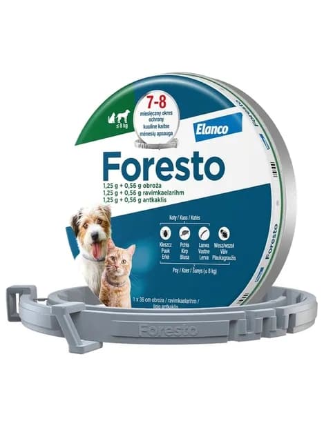 Elanco Foresto obroża dla psa i kota poniżej 8 kg długość 38 cm