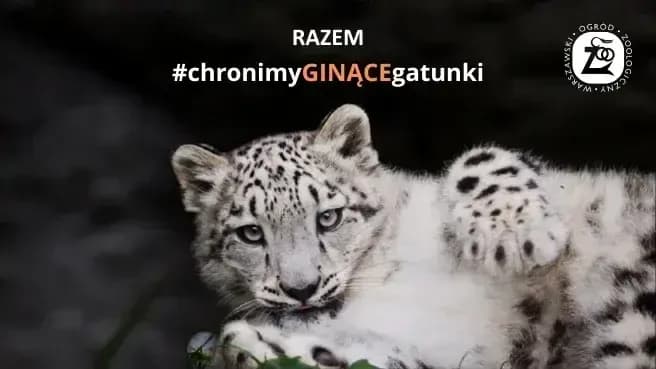 Zwiedzanie ZOO WARSZAWA